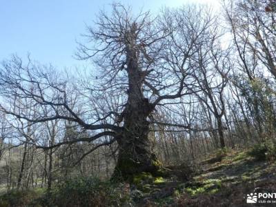 Geoparque Villuercas - Ibores - Jara; senderos del sur senderos locales zapatillas senderismo mujer 